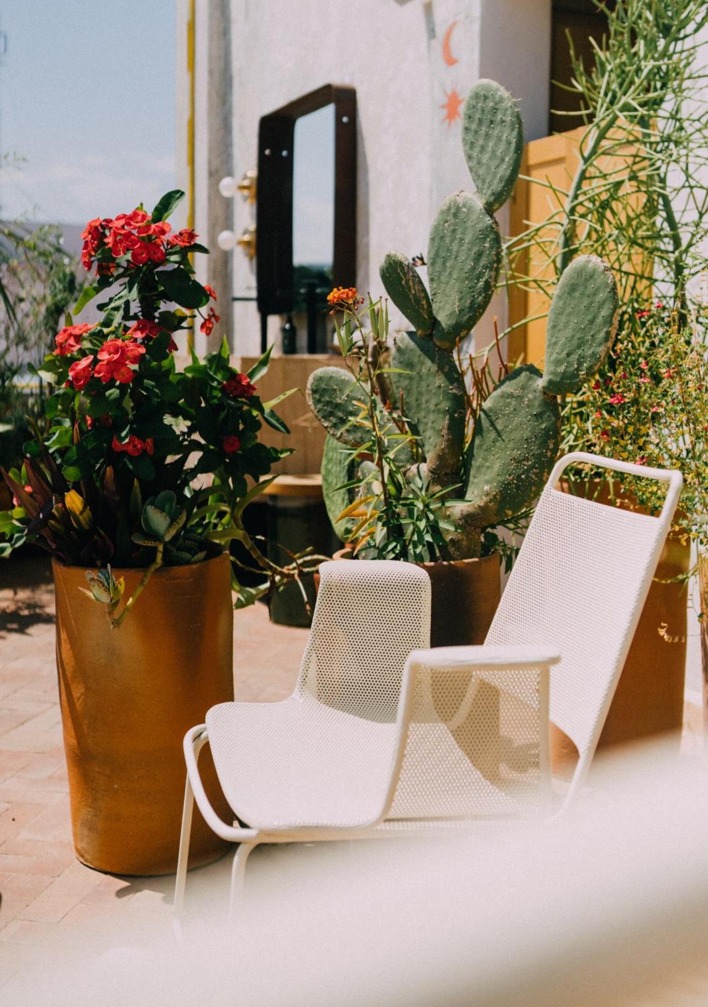 Casa Antonieta Hotel Oaxaca Exterior photo